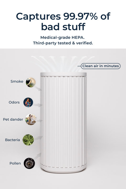 Shop The Air Purifier Max