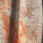 Handdrawn Asian Flowers with Orange Watercolor - Floral Blackout Curtain Single Panel-33654815