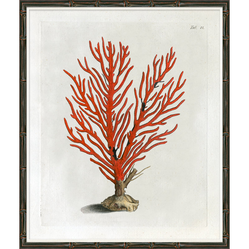 Red Coral IV - cadre photo, impression sur papier