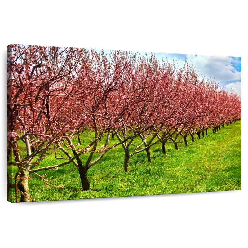 Fleurs de Harnek Peach Orchard, H 16 po x l 24 po