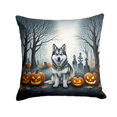 Other/No Pattern Outdoor Throw Pillow