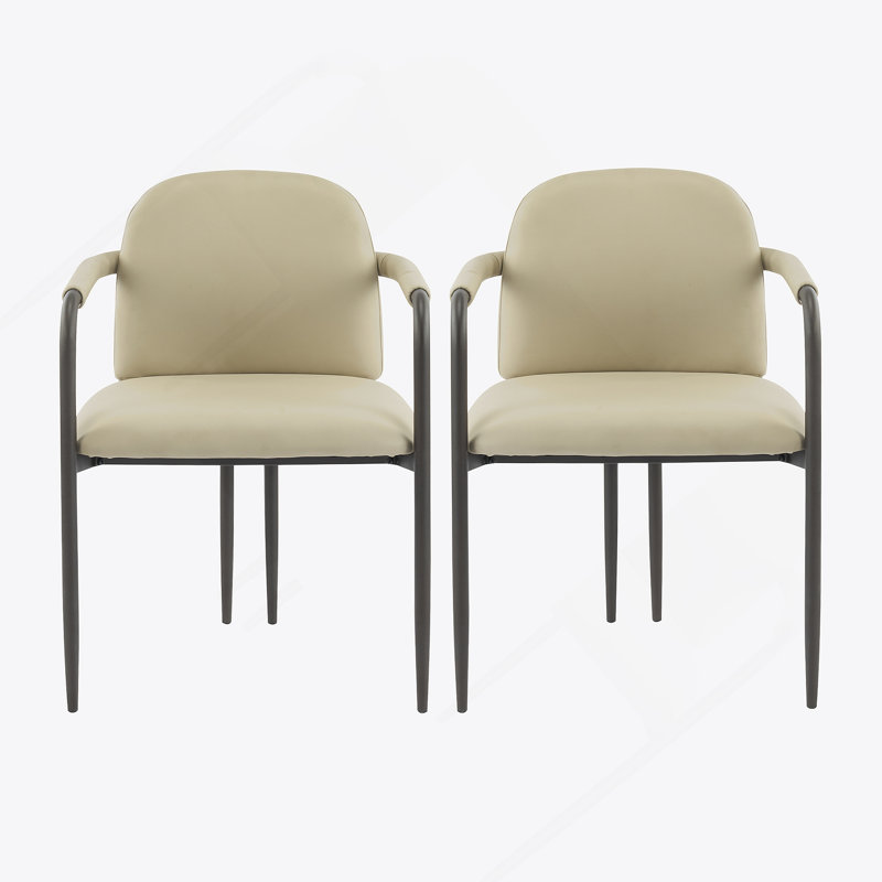 Chaise de salle à manger avec cadre en fer, ensemble de 2 - espresso et kaki, Noir, Kaki
