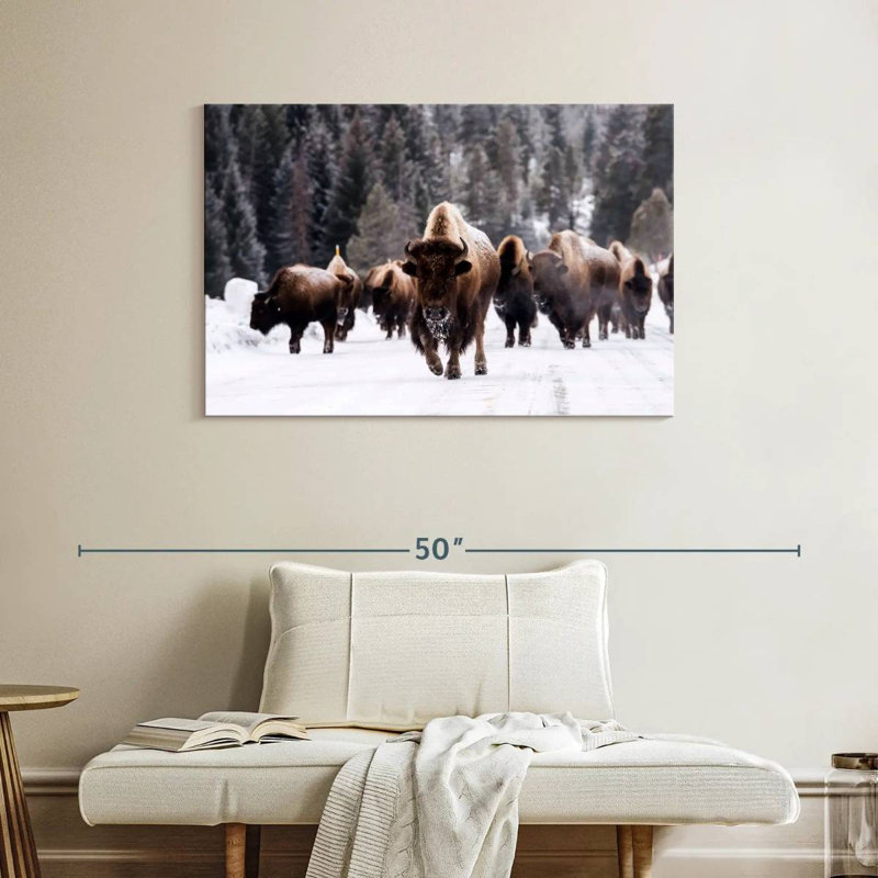 Bisons d'hiver, H 26 po x l 39 po