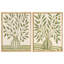 "Olive Branch", ensemble de 2 reproductions d'art mural encadrées dans un vase-119347298-119347300