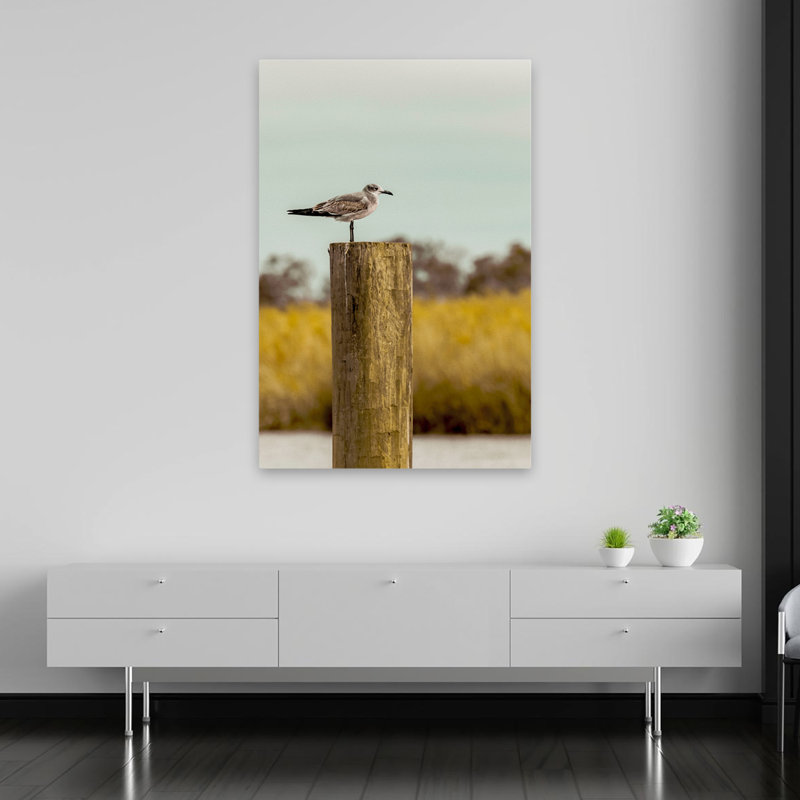 Goéland sur un pieux - St Augustine - paysages côtiers, photographie d'animaux, art, H 60 po x l 40 po