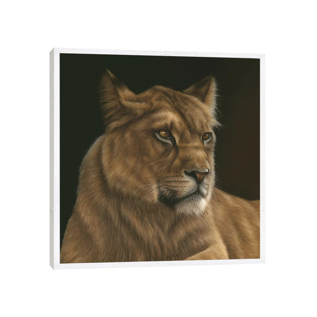 Lioness von Richard Macwee - Galerie- Giclée auf Leinwand