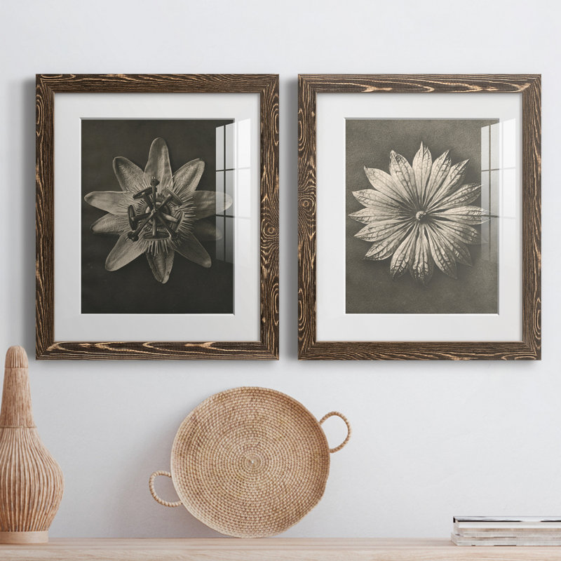 «Blossfeldt Flower I», ensemble de 2 reproductions de photos sur papier encadrées, H 20 po x l 17 po x P 1 po