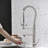 FLG Pull Down Kitchen Faucet