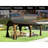 Cedar Wood Gazebo 12'X20'