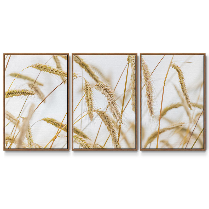 " Wheat " 3 - Pieces, 36" H x 75" W x 2" D, Walnut