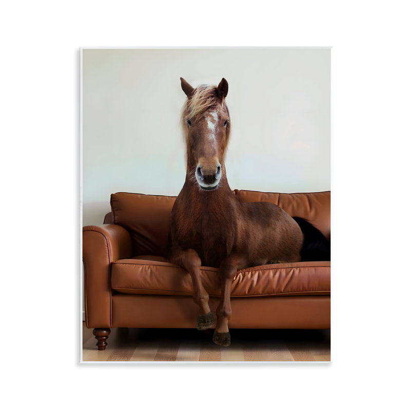 «Brown Horse on Couch», art mural par lettré et doublé