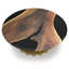 Eskulape Coffee Table-60482284