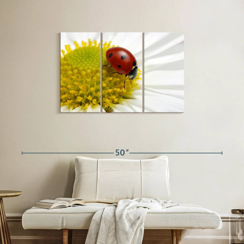 Coccinelle sur camomille, H 24 po x l 38 po