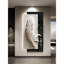 Modern Feather-Painted Sandstone Hydroponic Plant Mural With Lights-318962542-318962543