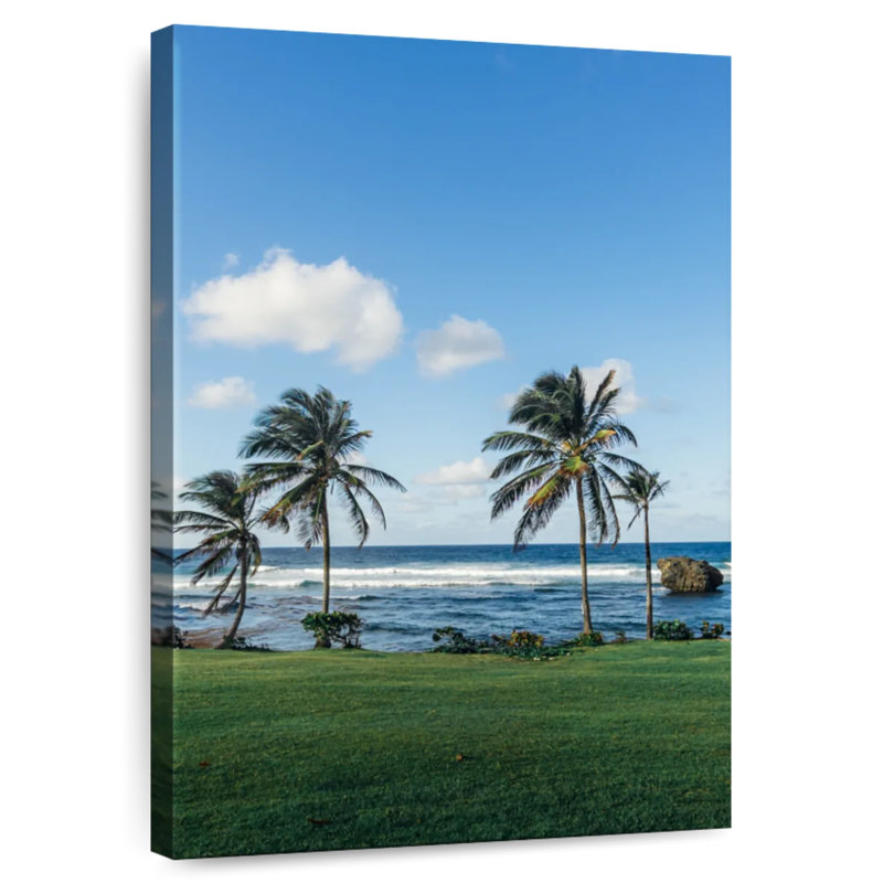 Gillard Bathsheba Gillard Palms, H 51 po x l 34 po