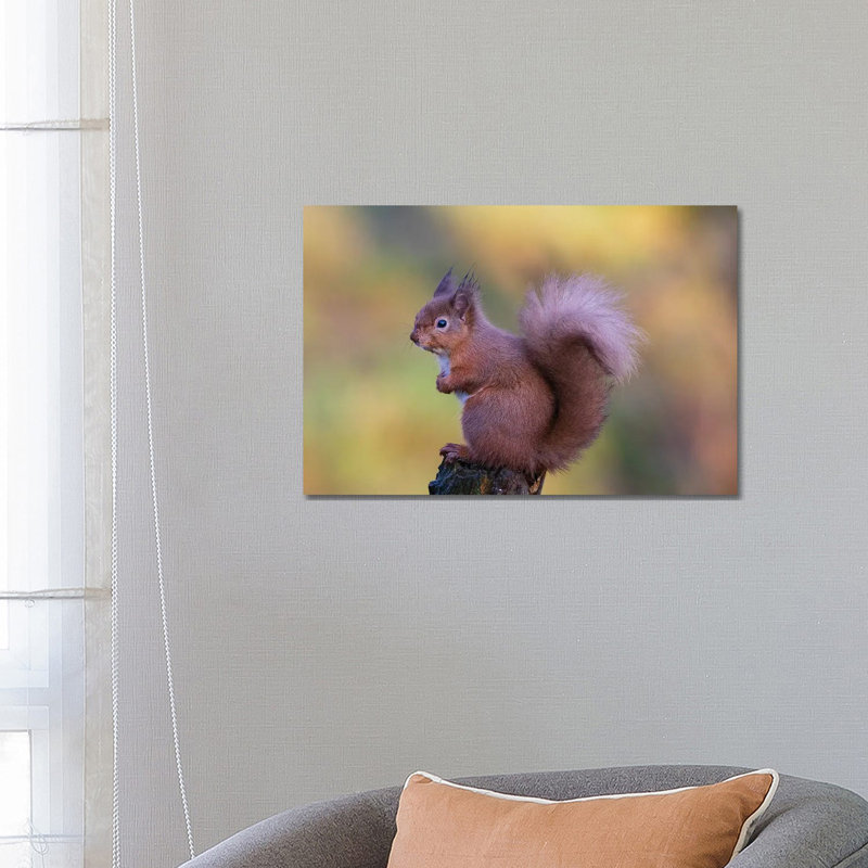 Grumpy by Howard Ashton-Jones - Wrapped Canvas Print, 66.04 cm H x 45.72 cm W x 3.175 cm D