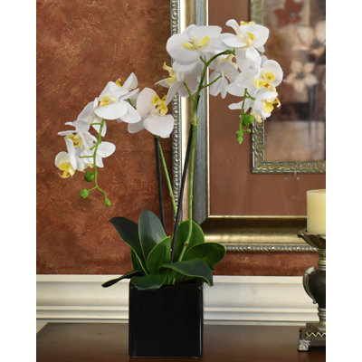 Faux Silk Orchid Arrangement