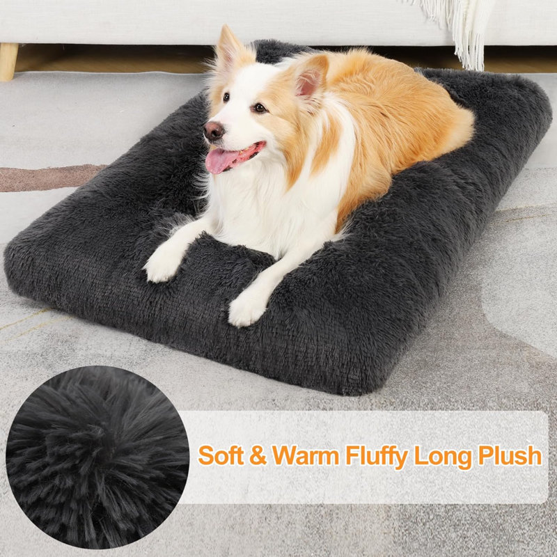 Lits pour chien Eibhlis, H 3,5 po x l 23 po x P 35 po, Gris foncé