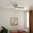 Volos 54'' Ceiling Fan with LED Lights-82941941