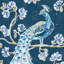 «Peacock Allegory IV Blue V2» par Daphne Brissonnet, reproduction d'art sur toile tendue-1234194000-1224487404-1224487448