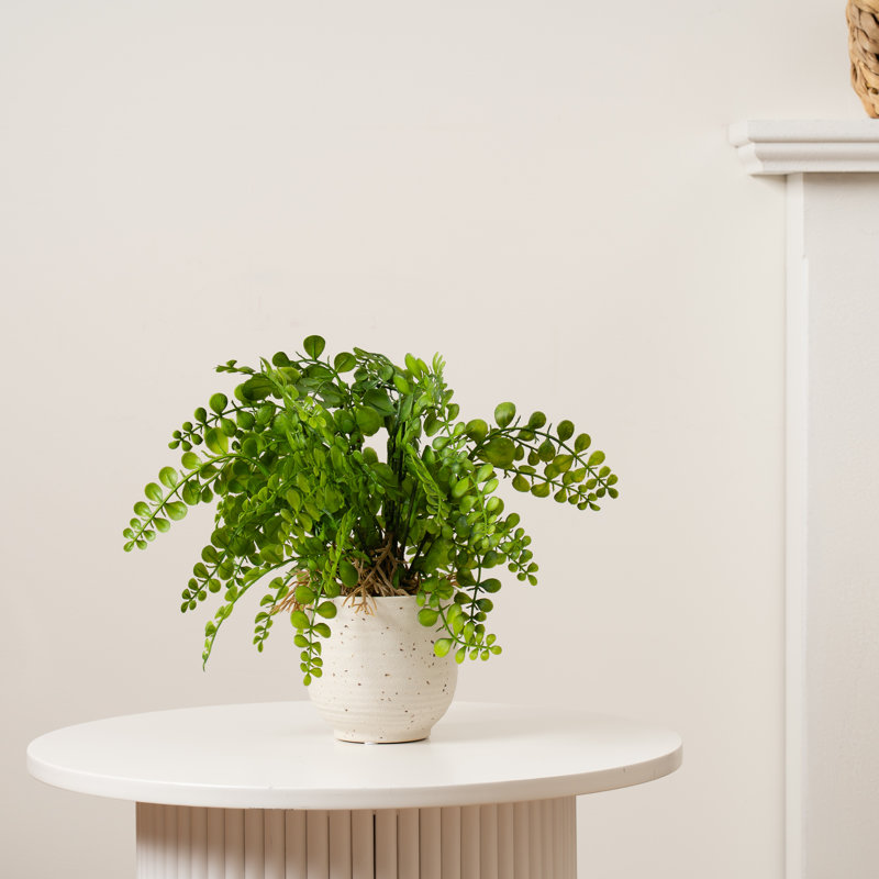 28cm Faux Fern in Speckled Ceramic Pot