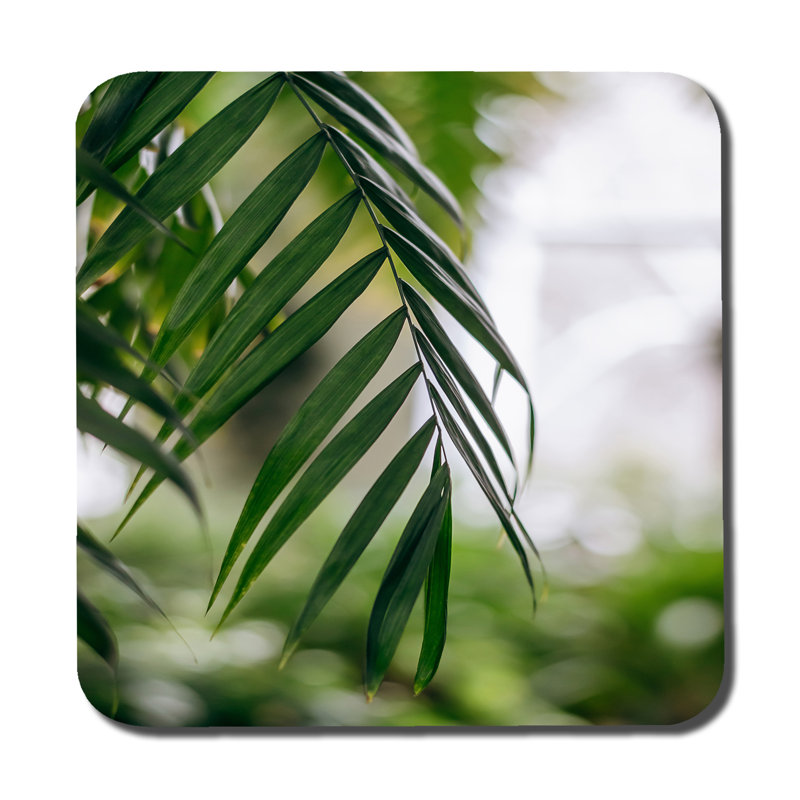 Dovan Square 6 Piece Coaster Set