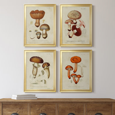 Mushroom Variétés I - Ensemble de 4 peintures sur toile encadrées