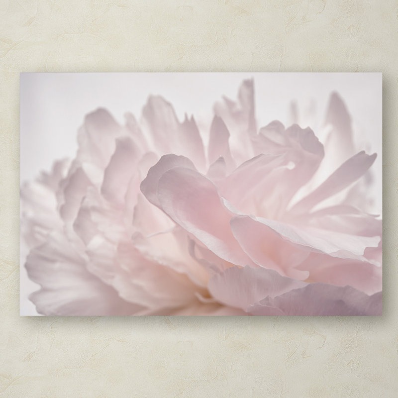 «Pink Peony Petals V» par Cora Niele, reproduction de photo sur toile tendue, H 12 po x l 19 po x P 2 po