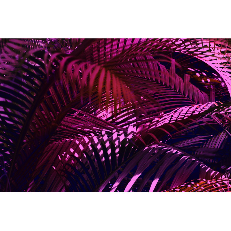 Lenae Closeup Of Palm Leaves - Wrapped Canvas Print, 30cm H x 46cm W x 3.8cm D