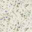 Anthology Sweet Pea Floral Wallpaper Roll-29099512