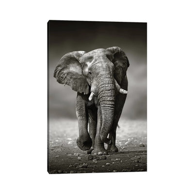 Elephant Approach From The Front by Johan Swanepoel - Wrapped Canvas Print