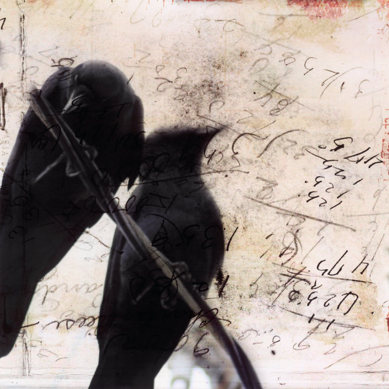 What What Crows Reveal II, H 30 po x l 30 po x P 1,25 po