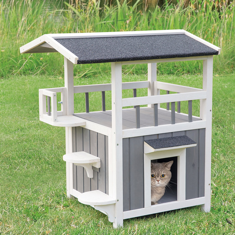 Clearance wayfair outdoor cat houses Top Sellers