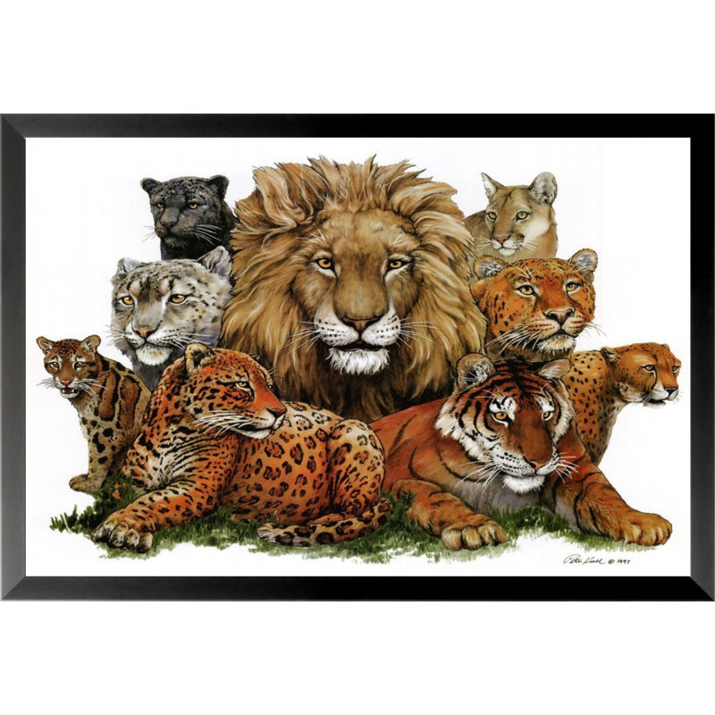 «Great Cats», impression encadrée, H 12 po x l 18 po x P 1 po