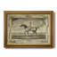 Distinguished Horses II - cadre photo, impression sur toile-1994995258