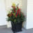 Anastassia Planter-879889995