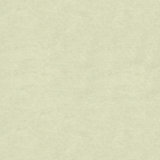 Solid Velvet Fabric