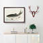 Carp Fish by Kono Bairei - Picture Frame Graphic Art Print-55680828-55680823