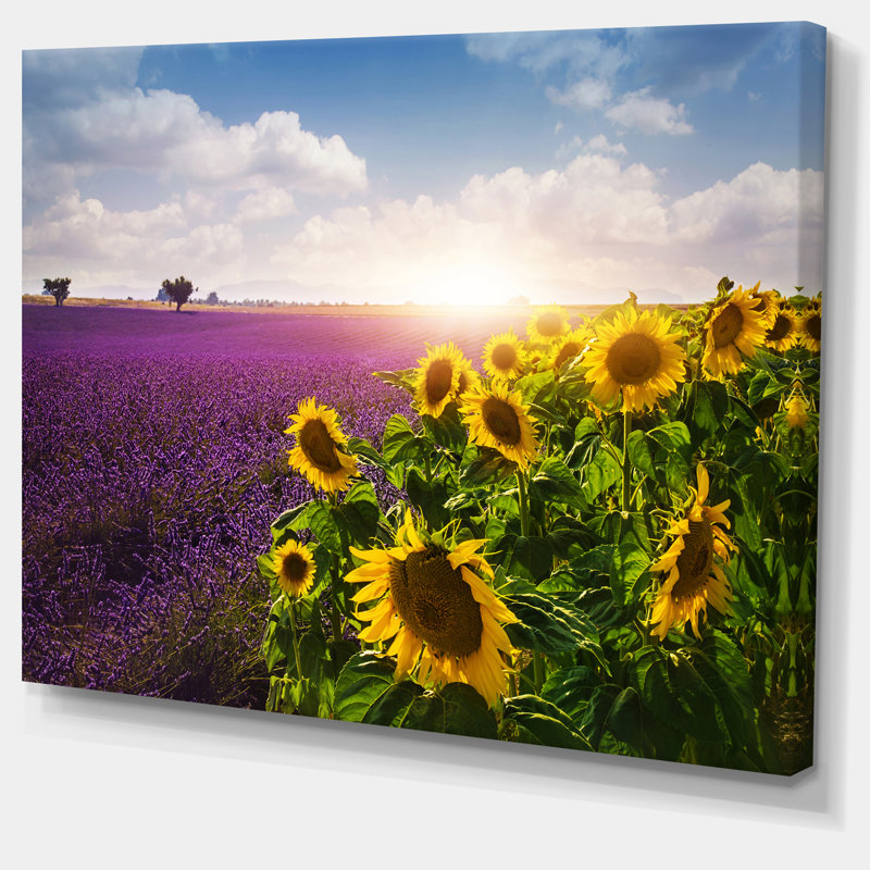 «Lavender and Sunflower Fields», reproduction de photo sur toile tendue, H 30 po x l 40 po x P 1 po, Toile tendue