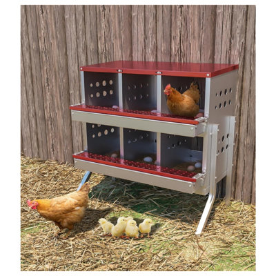 6 poules pondeuses 6 compartiments avec des pieds en métal et 8 faux œufs d'entraînement (rouge)
