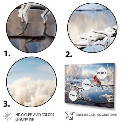 Canada, cardinal rouge, Winter Wonderland III - impression