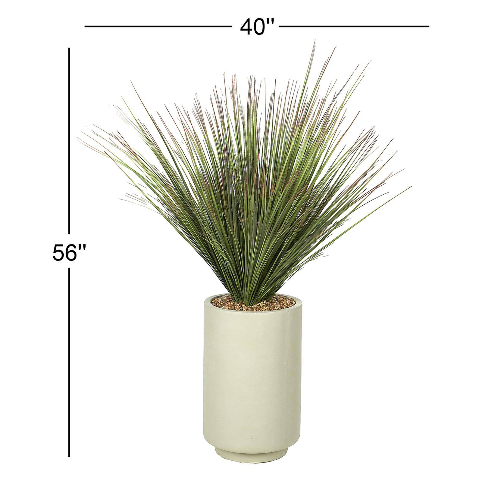 4.5' Onion Grass in Rainey Planter