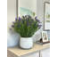 Outdoor UV-Rated Lavender in Fiberstone Pot