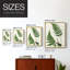 Impression encadrée Fern II - bois massif-2111977835-2111977828