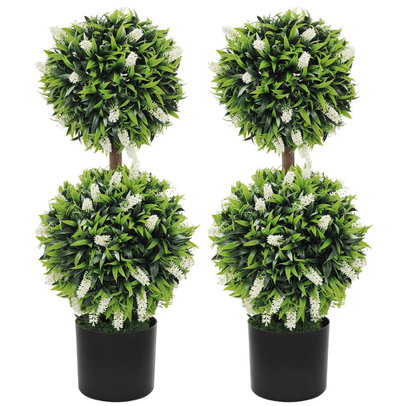 70cm Plant