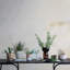 Vase rond en verre