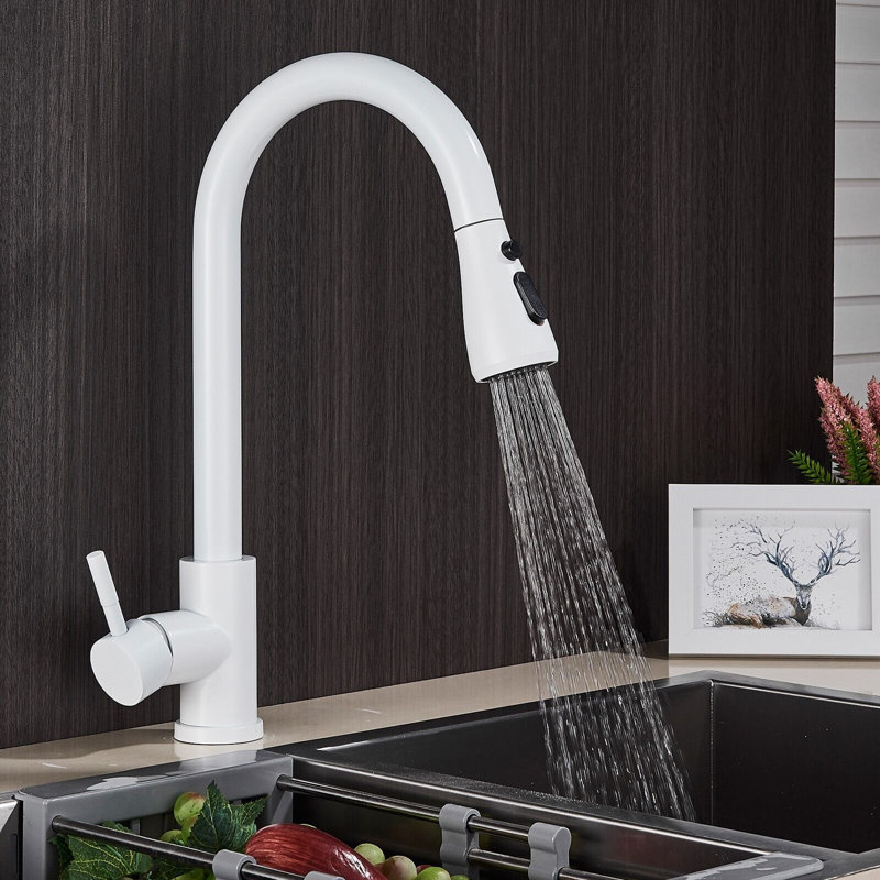 Belfry Kitchen Burna Kitchen Faucet