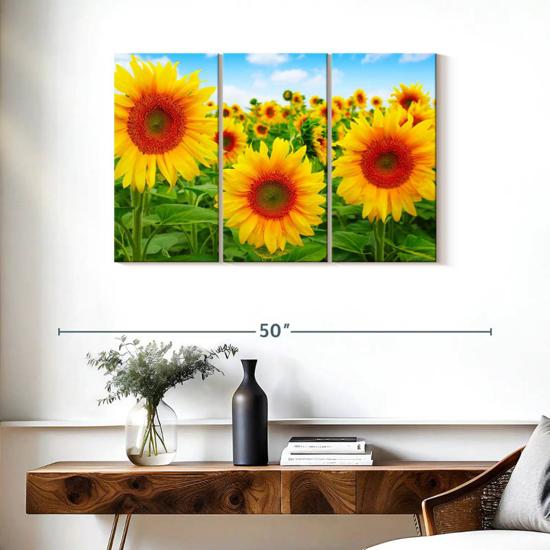 Champ de tournesols Alvord, H 24 po x l 38 po