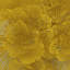 Flower Wall Décor-573443686