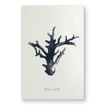 Montipora digitata - Coastal Metal Print for Home Decor